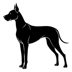 Great Dane Silhouette vector illustration