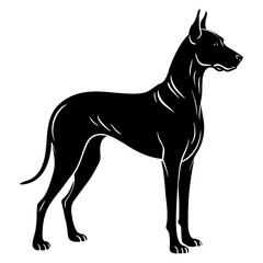 Great Dane Silhouette vector illustration