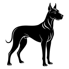 Great Dane Silhouette vector illustration