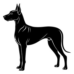 Great Dane Silhouette vector illustration