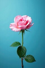 Obraz premium Delicate pink rose nestled in a tranquil blue environment with plenty of blank space around it, floral, peaceful, blue