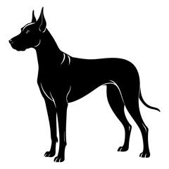 Great Dane Silhouette vector illustration