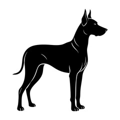 Great Dane Silhouette vector illustration