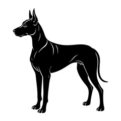 Great Dane Silhouette vector illustration