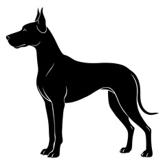 Great Dane Silhouette vector illustration