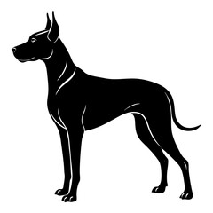 Great Dane Silhouette vector illustration