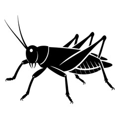 Grasshopper Silhouette vector illustration