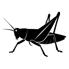 Grasshopper Silhouette vector illustration