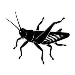 Grasshopper Silhouette vector illustration