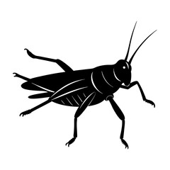 Grasshopper Silhouette vector illustration
