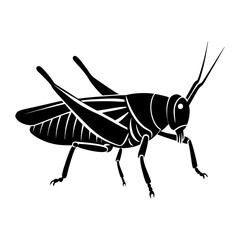 Grasshopper Silhouette vector illustration