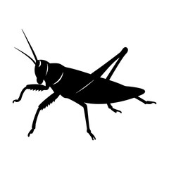 Grasshopper Silhouette vector illustration