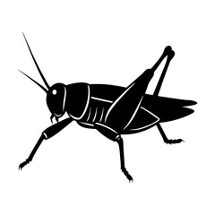 Grasshopper Silhouette vector illustration