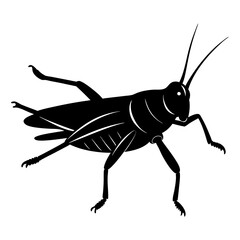 Grasshopper Silhouette vector illustration