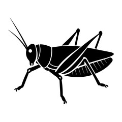 Grasshopper Silhouette vector illustration