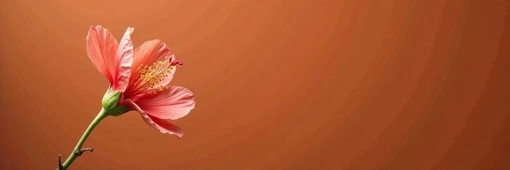 Obraz premium Single Tung Blossom with delicate green stem on a terracotta background, rustic, earthy, nature