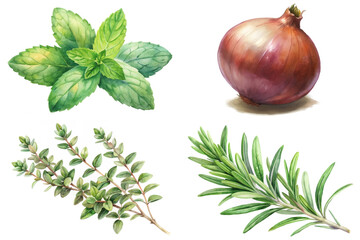 Fresh herbs collection, vibrant green leaves, detailed onion illustration, culinary ingredients, botanical art style.