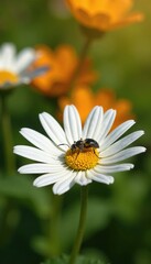 Obraz premium Small insect covered in white dust rests on sunny flower, sunny, garden