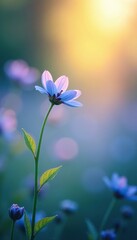 gentle pastel light illuminates the soft blue flowers, natural light, soft focus, morning sun