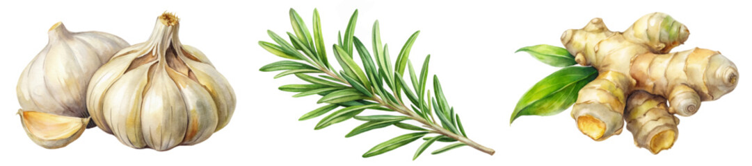 Fresh garlic bulbs, vibrant rosemary sprigs, organic ginger roots, natural herbs, culinary ingredients, healthy cooking.