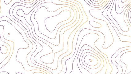 White wave paper curved reliefs abstract background. The topographic map contour in lines isolated.	