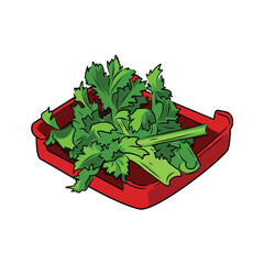 Isolated Celery leaves in red plate, vector hand drawing illustration. Green leaves and whole part of celery,Hight fiber and vitamin K vegetable, hot pot ingredients. fresh vegetables 