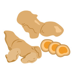 Tamarind Turmeric root Herbs illustration