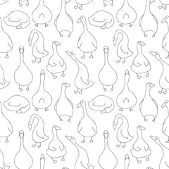 Goose Seamless Pattern. Cute Cartoon geese, Vector Illustration Background.