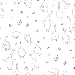 Goose Seamless Pattern. Cute Cartoon geese, Vector Illustration Background.