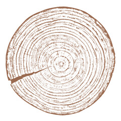 Fototapeta premium Tree wood texture. Wooden old trunk. Cut timber log. Abstract rings nature pattern. Brown circle stump. Wood cross section.