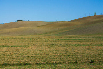 rural scenary in tuscany with blue sky