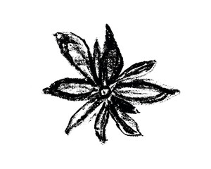 Star Anise ink sketch. Hand drawn illustration isolated. Anise seeds engraved drawing for Herbal tea label, anise essential oils packaging design. Charcoal floral image.