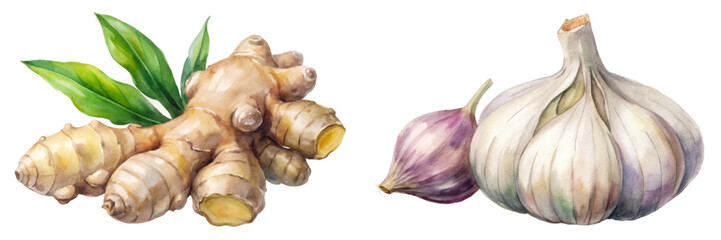 Fresh ginger root, garlic cloves, vibrant green leaves, watercolor style, natural ingredients, culinary use, healthy cooking.