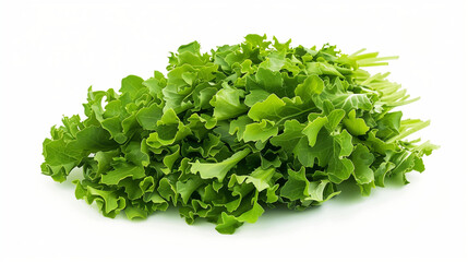 Salad  isolated on white background