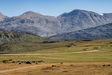 Obraz premium Beautiful town of Igaliku and surrounding area (South Greenland)