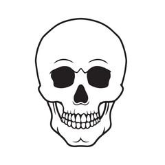 Fototapeta premium The skull icon. Black silhouette of a human skull. Vector illustration isolated on a white background for design and web.