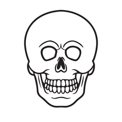 The skull icon. Black silhouette of a human skull. Vector illustration isolated on a white background for design and web.