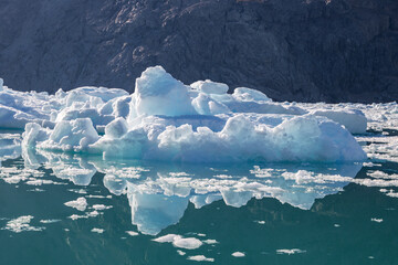 Icebergs and Qooqqup glaciar in Qooqqut fjord (South Greenland)