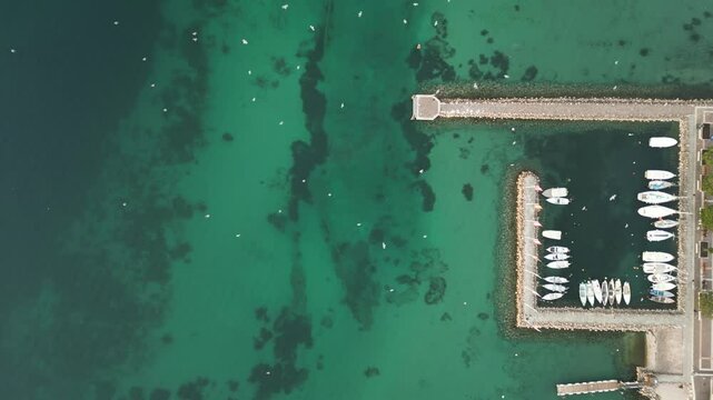 horizontal drone video of Garda lake harbour with boats with green water color and seagull birds flying above it