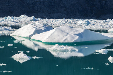 Icebergs and Qooqqup glaciar in Qooqqut fjord (South Greenland)