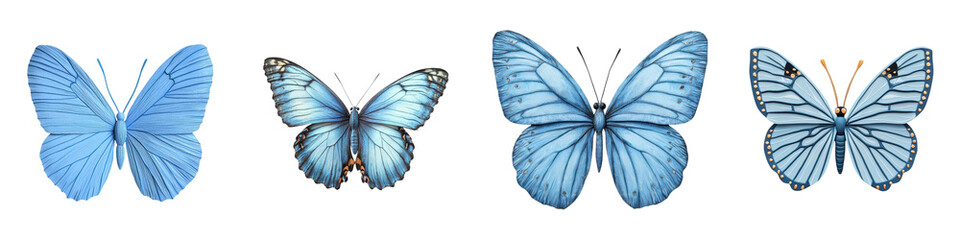 Stunning blue butterflies with elegant wings fluttering gracefully through a lush colorful natural environment  A vibrant detailed display of the beauty and delicacy of these amazing insects