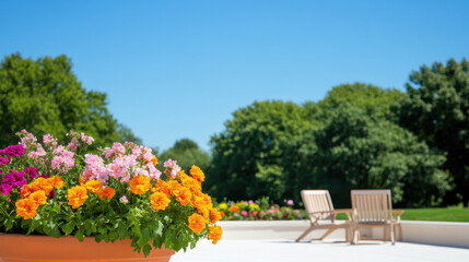 Obraz premium Rooftop, A vibrant rooftop garden bursting with colorful flowers, showcasing a beautiful urban oasis perfect for relaxation and outdoor enjoyment.