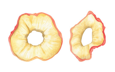 Fruit seamless border. Half, whole, pieces of yellow pear with leaves. Horizontal banner or frame for farm market design, packaging. Marker and watercolor illustration. Hand drawing isolated.