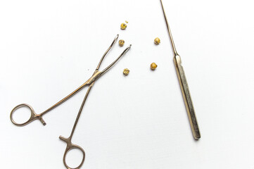 a desktop with a notebook and a herbarium of various plants and seeds. Occupation of storing sketches and other biological experiments and studies of plant and flower species. High quality photo