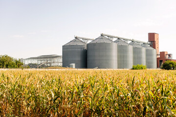 agro silos granary elevator with seeds cleaning line on agro-processing manufacturing plant for...