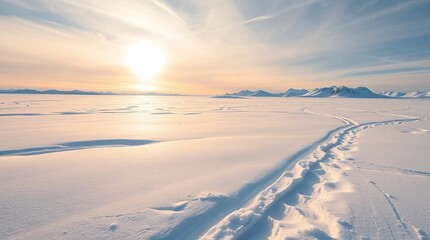 An untouched arctic tundra landscape, vast fields of untouched snow glistening under the pale light of the midnight sun