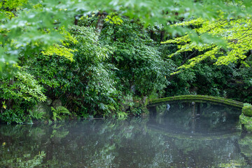 A peaceful Japanese garden with a small, arched, moss-covered bridge spanning a pond with gentle ripples, surrounded by dense, lush greenery, trees, and plants. Zen and tranquil atmosphere. Gifu Park