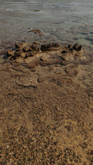 Rocks emerging from shallow water on the red sea coastline