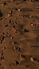 Colorful pebbles scattered on the smooth sand of sataya resort in marsa alam, egypt