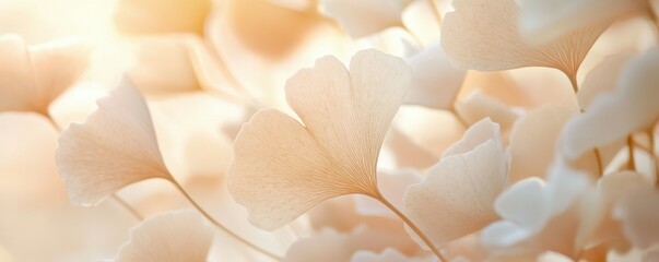 Ginkgo biloba leaves, soft pastel tones, nature background, floral design, beige and cream colors, ideal for wellness and tranquility themes Delicate and ethereal composition
